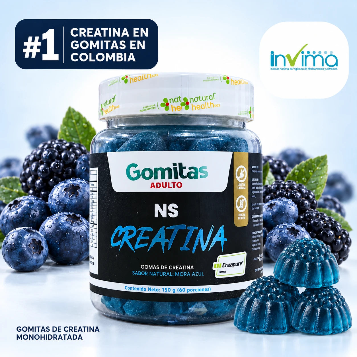 NS Creatina Monohidratada Natural Health