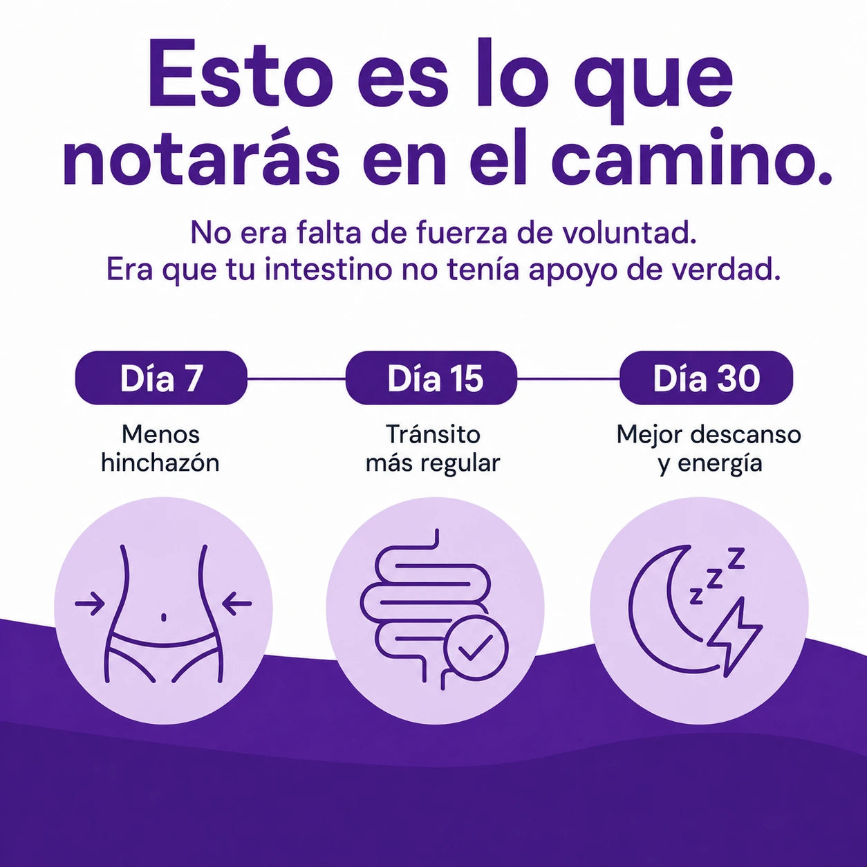 Complejo de apoyo intestinal Elvera con saúco