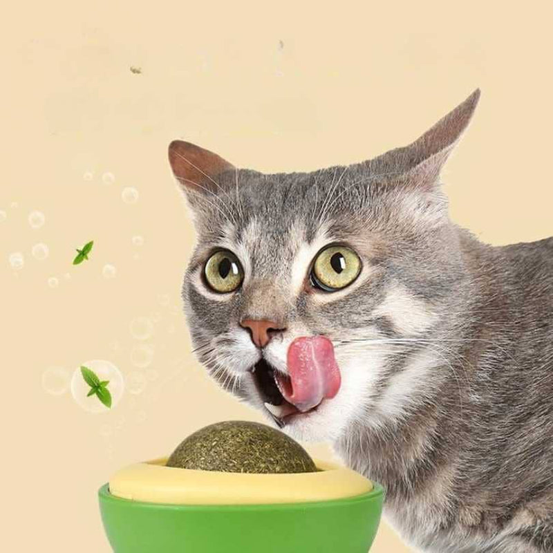 PetCare Deluxe: Combo Cepillo y Catnip para Gatos