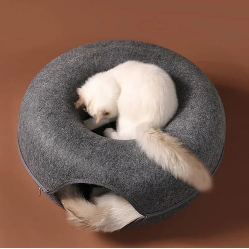 KittyTunnel™: El Refugio Ideal para tu Gato