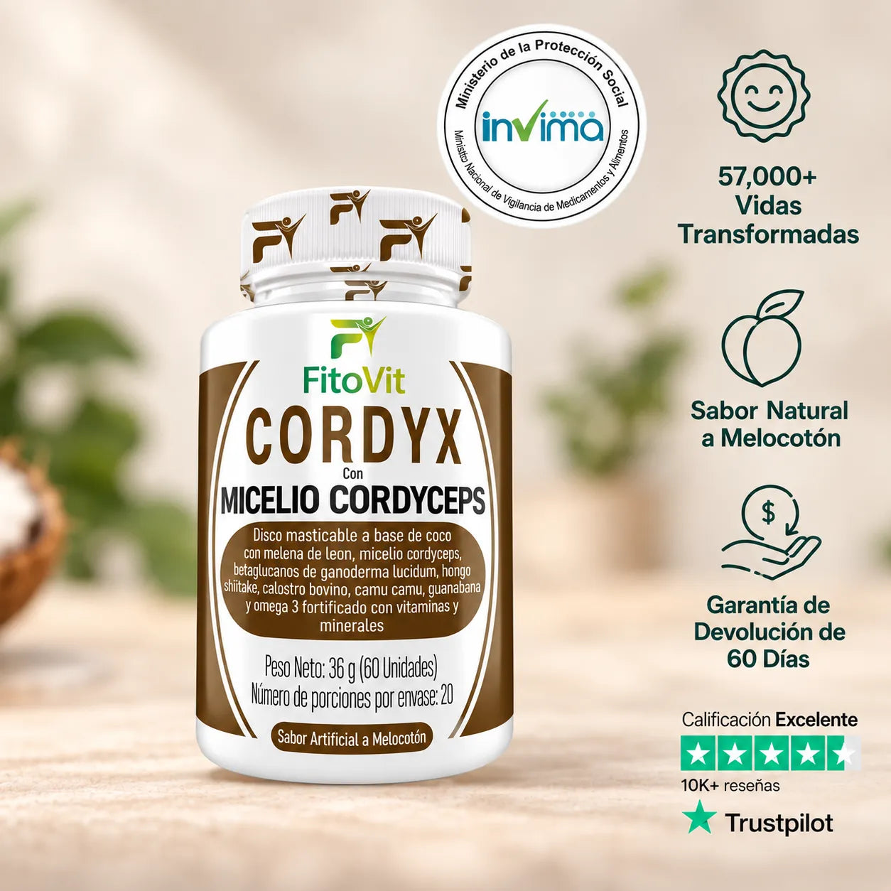 Masticables Cordyx