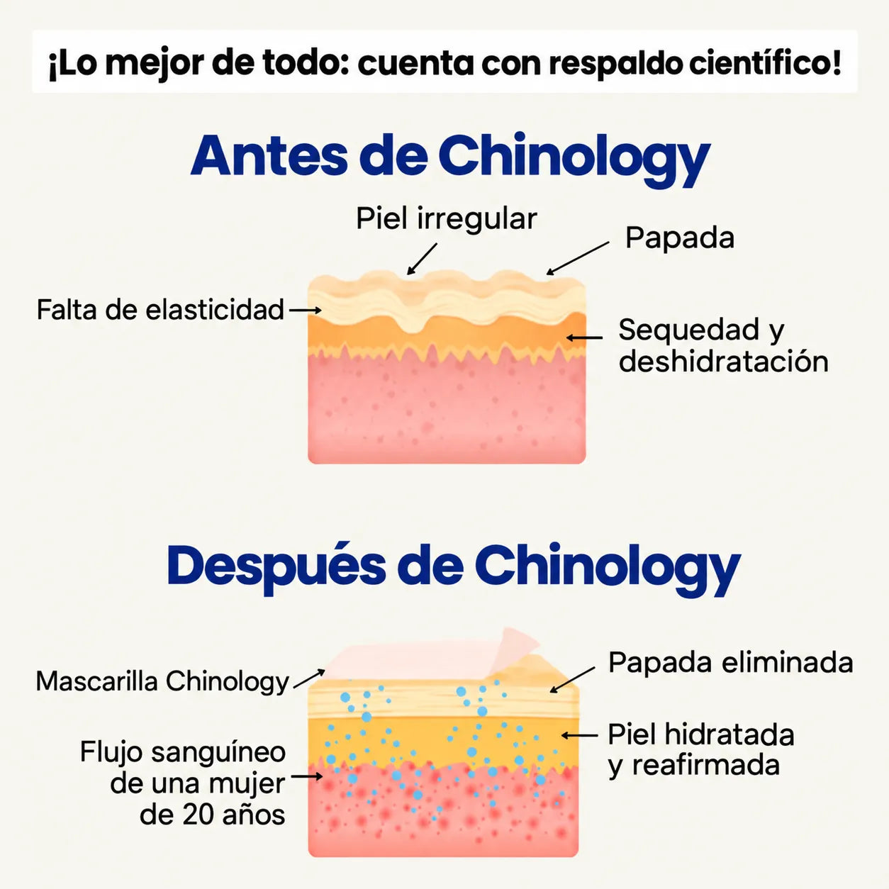 Chinology ™ Mascarilla Reafirmante de Papada