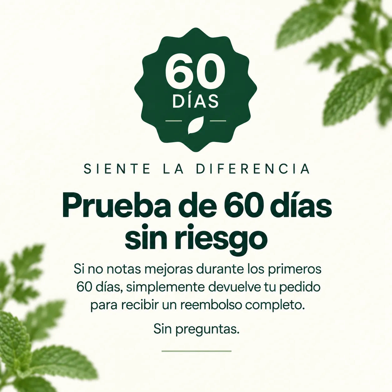 Gomitas Gummimas Clorofila