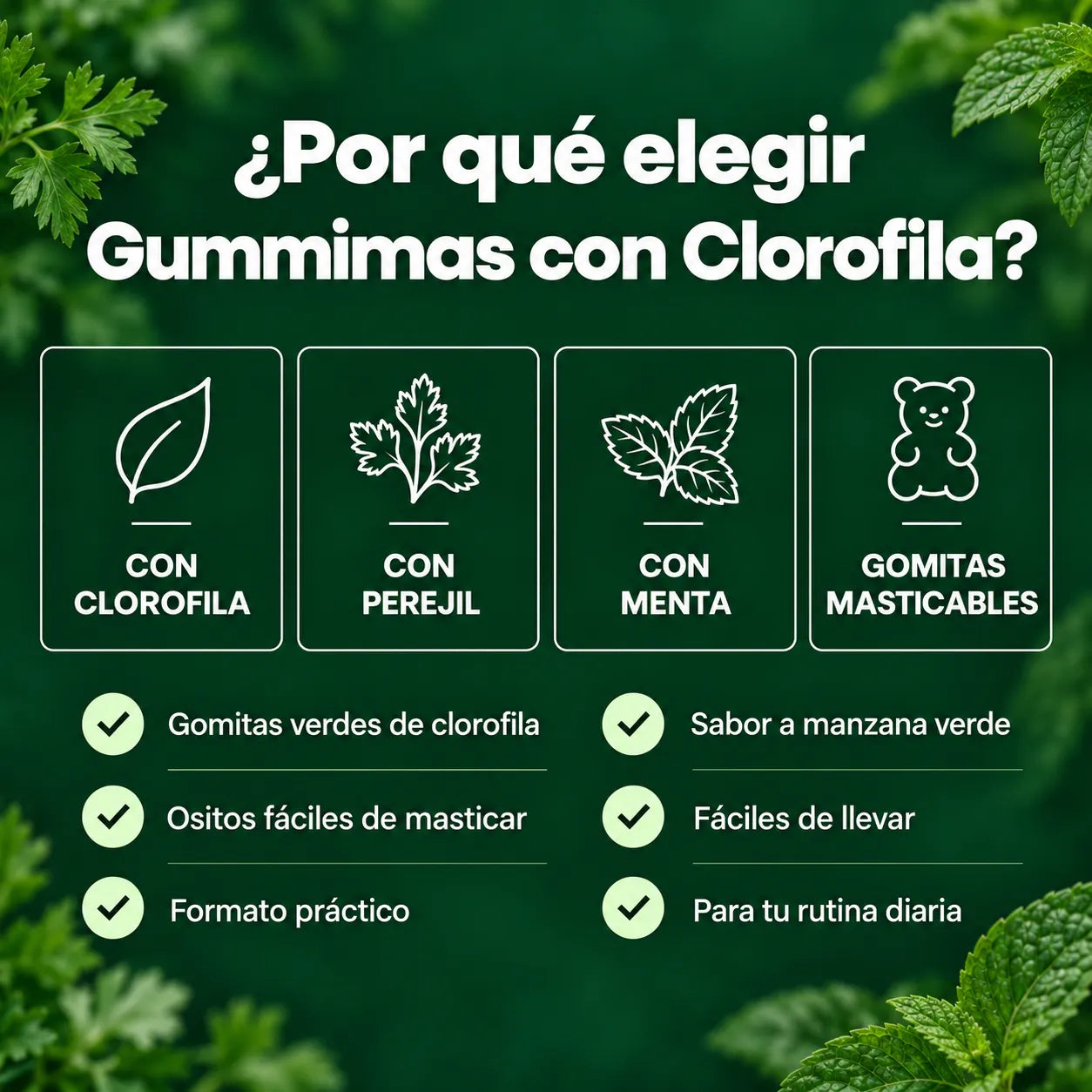 Gomitas Gummimas Clorofila
