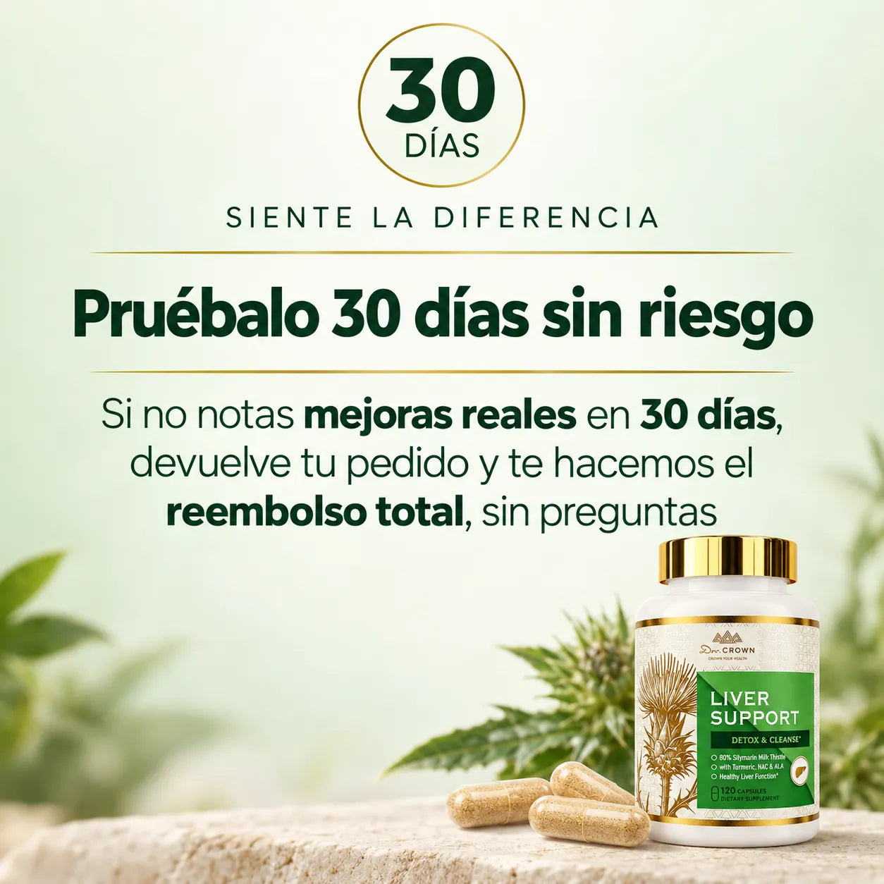 Liver Support – Detox y Cuidado del Hígado by Dr. Crown™