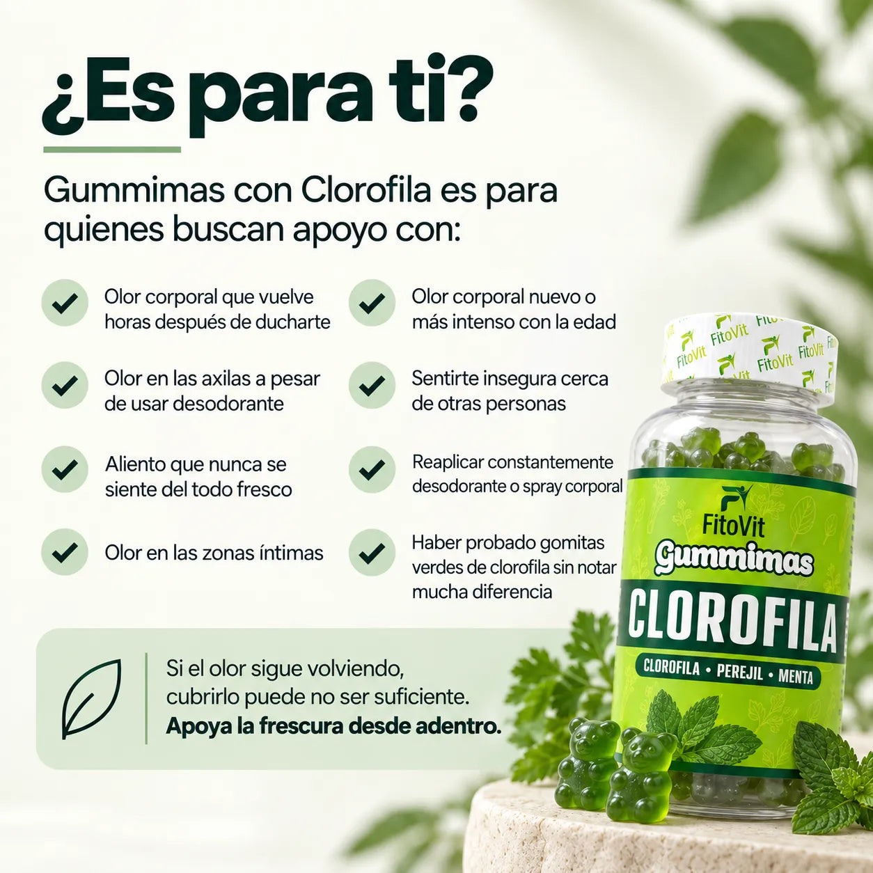 Gomitas Gummimas Clorofila