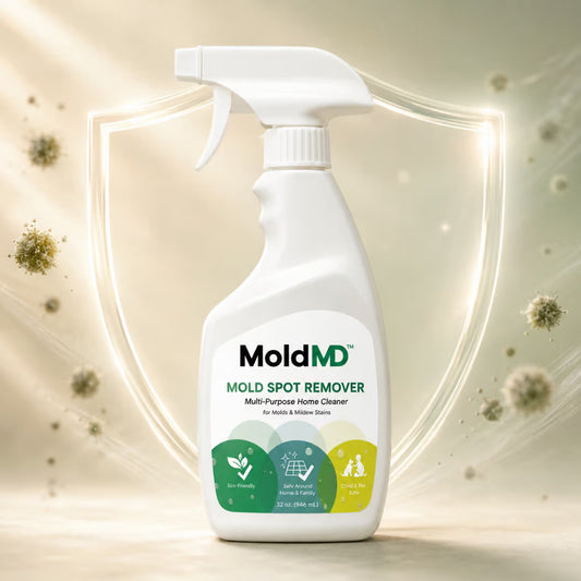 MoldMD
